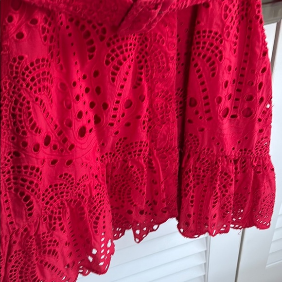 FARM Rio Red Lace Mini Dress - Picture 9 of 9